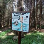 phoca_thumb_m_vp 2.den 31 Fotogalerie